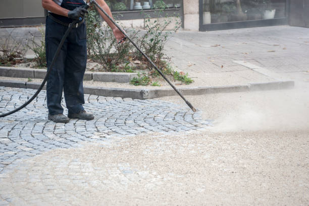 Animal Enclosure Cleaning in Star, NC